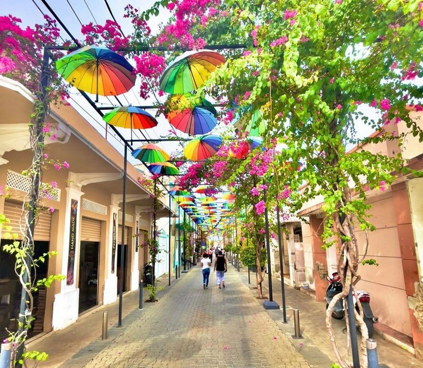 The Umbrella Street