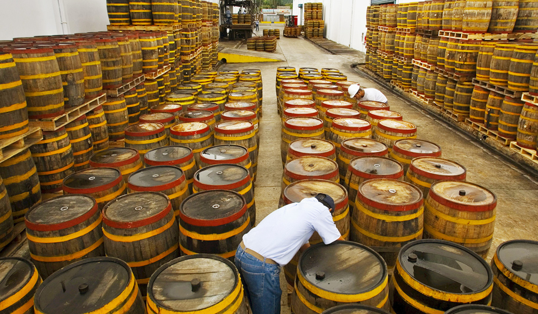 Brugal Rum Factory